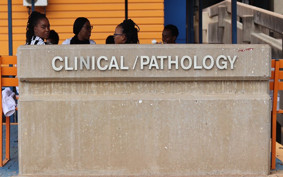 Appointment of Vice-Chancellor