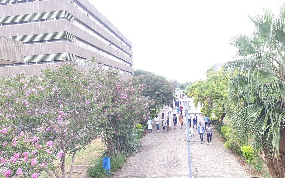 Notice of a Convocation General Meeting