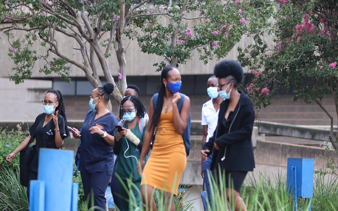 New qualifications received SAQA Ids in 2019