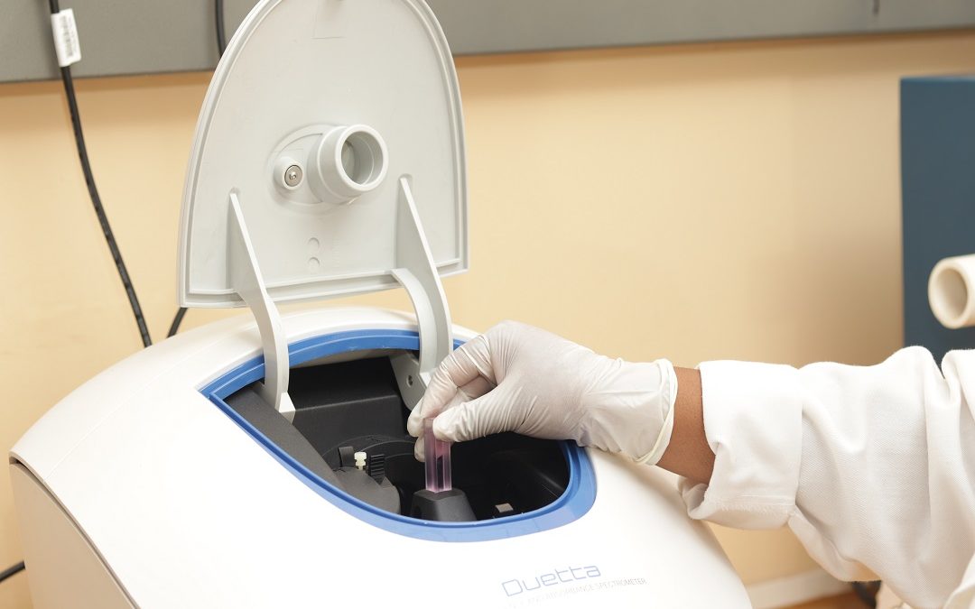 Prof Demana appointed Vice President of SAAPI