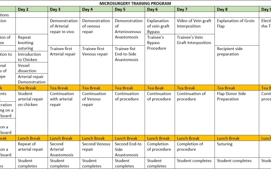 Hand and Microsurgery Training Program