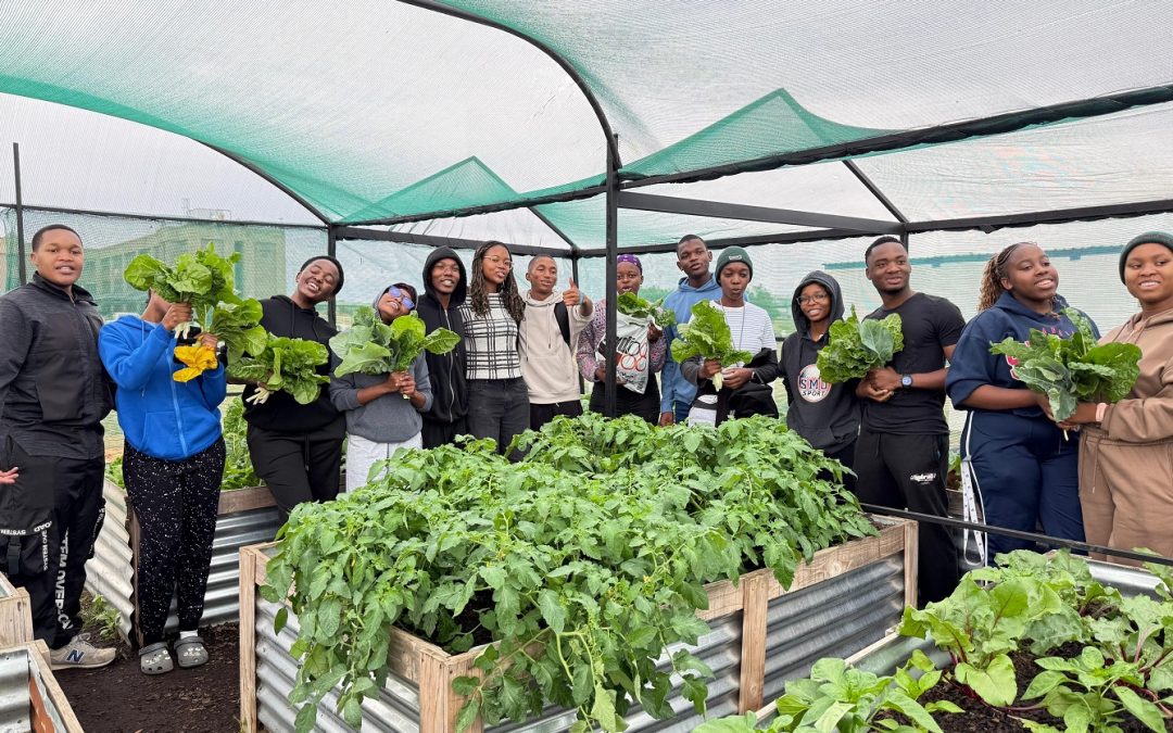 Green Campus Initiative plants hope anew