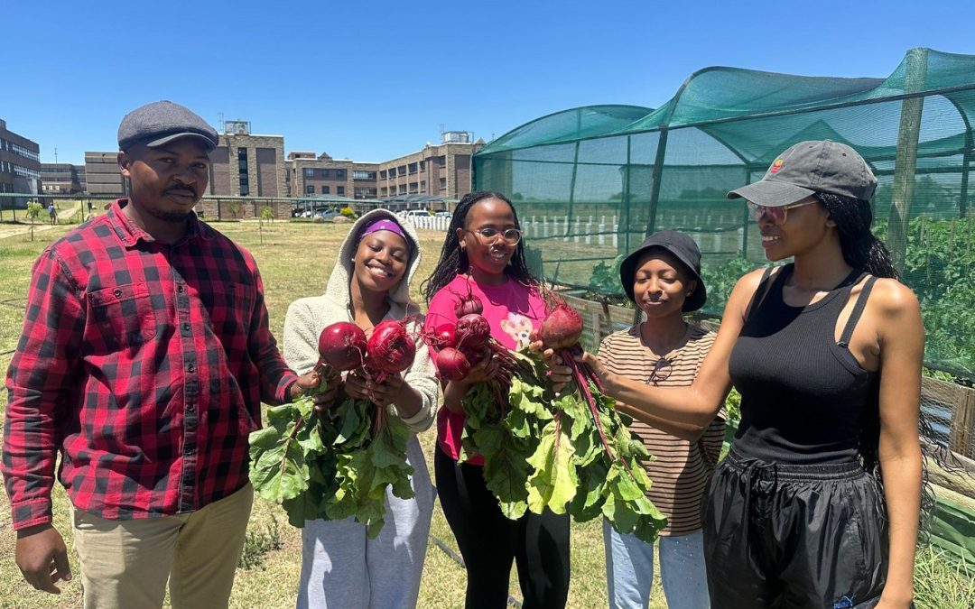 SMU garden named Shoprite competition finalist