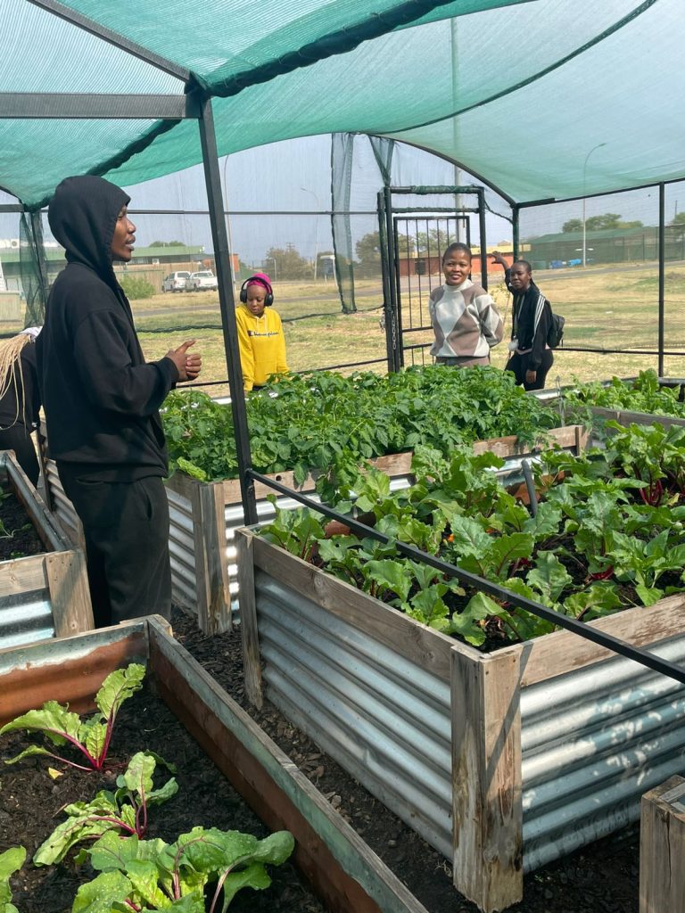 SMU garden named Shoprite competition finalist